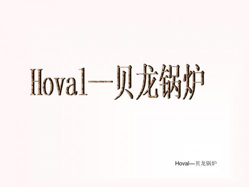 Hoval—贝龙锅炉