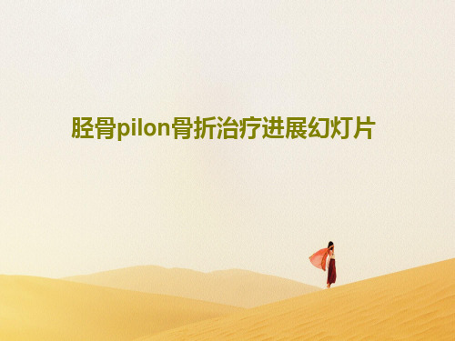 胫骨pilon骨折治疗进展幻灯片21页PPT