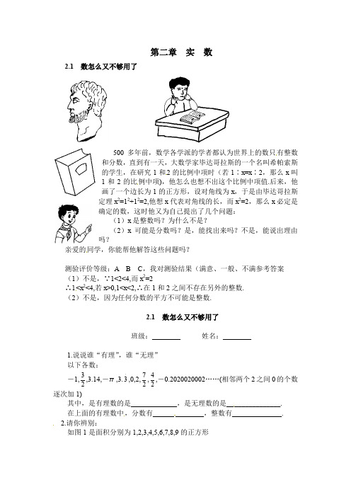 北师大版八年级上册数学课后辅导专练：2.1 数怎么又不够用了 练习1