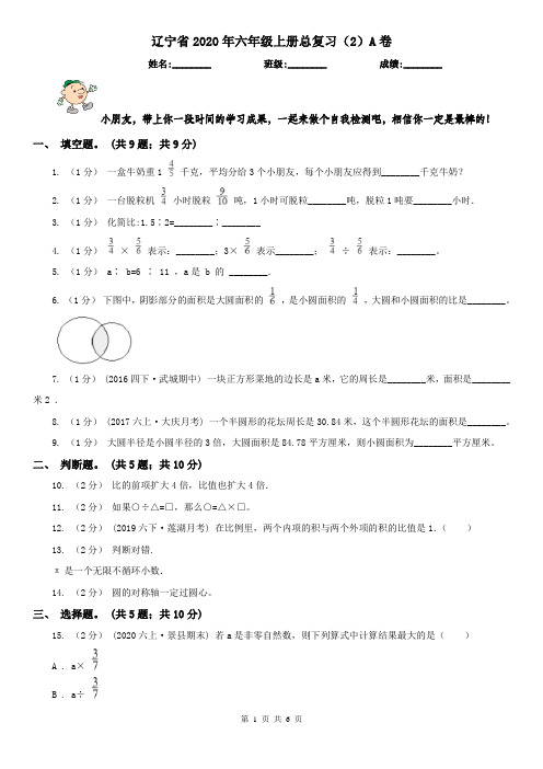 辽宁省2020年六年级上册总复习(2)A卷