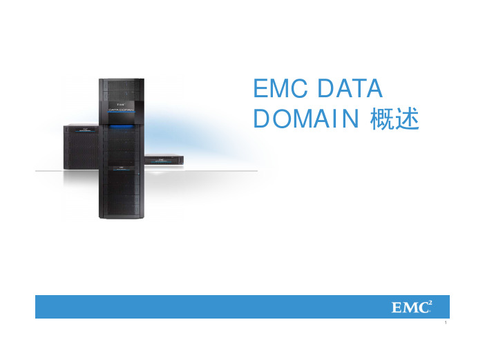 EMC Data Domain 概述