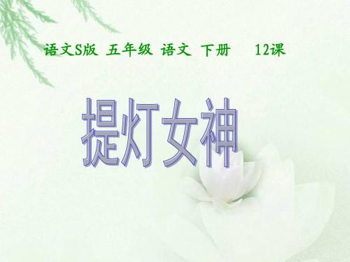 《提灯女神》PPT