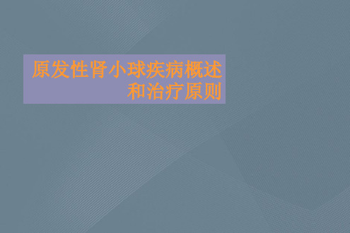 原发性肾小球疾病概述和治疗原则