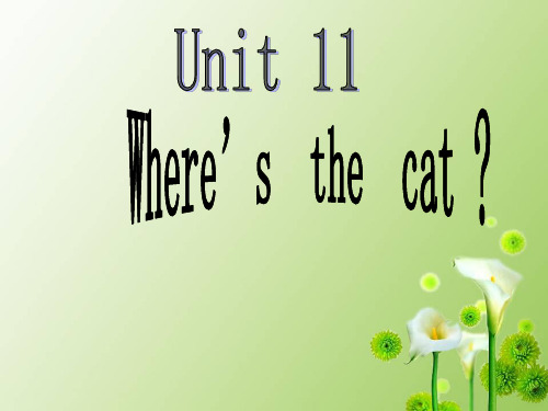 四年级上册英语课件-Unit 11Where’s the cat_湘少版