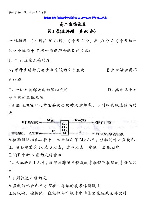 安徽省滁州市高级中学联谊会2015-2016学年高二下学期一期末联考—生物 含答案