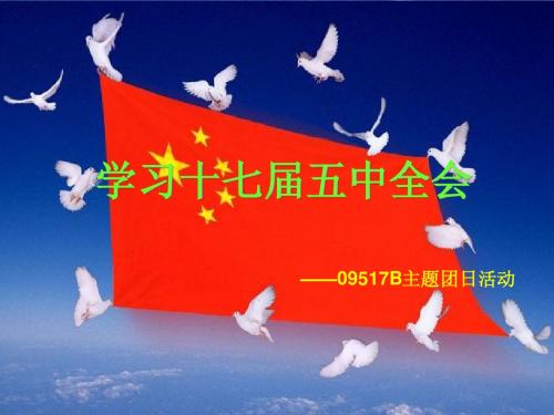 十七届五中全会学习主题团日活动ppt