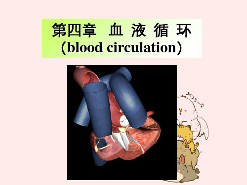 生理学血液循环心脏泵血功能