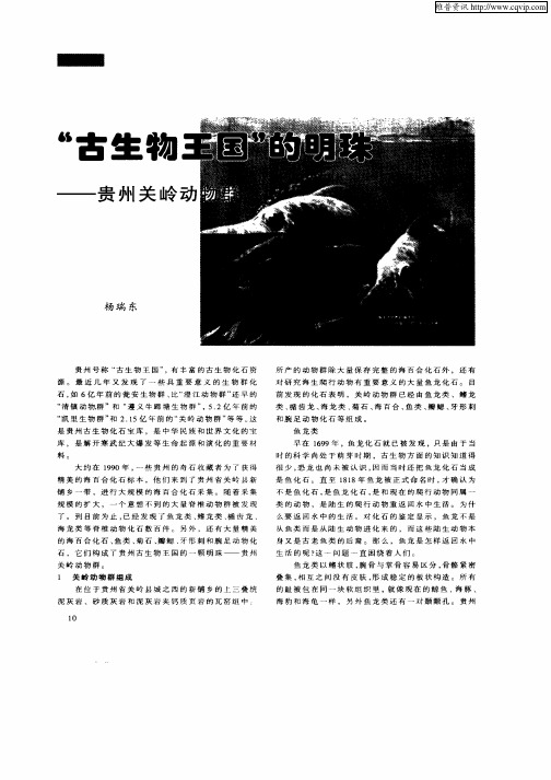 “古生物王国”的明珠—贵州关岭动物群