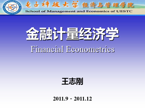 金融计量经济学Financial Econometrics