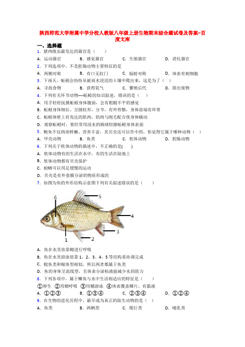 陕西师范大学附属中学分校人教版八年级上册生物期末综合题试卷及答案-百度文库