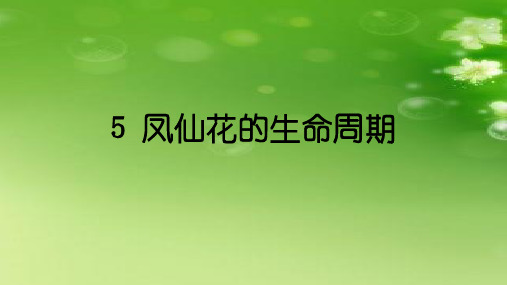 《8、凤仙花的生命周期