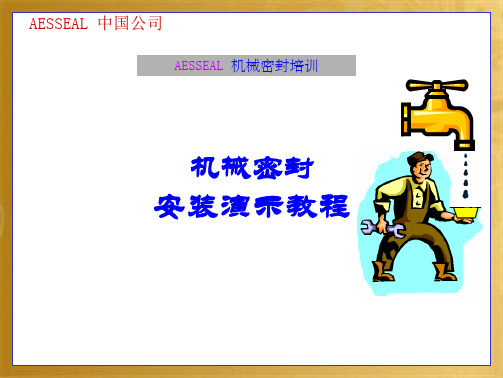 AESSEAL机械密封安装过程演示(共24张PPT)