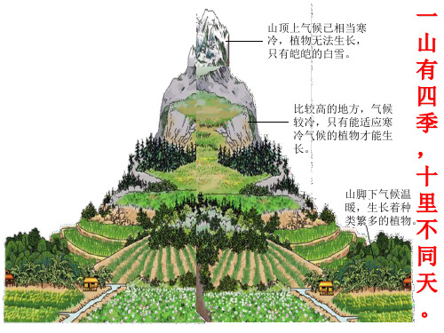 粤人地理八年级上册第二章第二节 气候(共23张PPT)