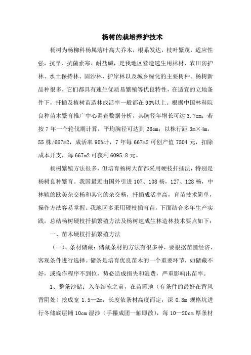 杨树的栽培养护技术