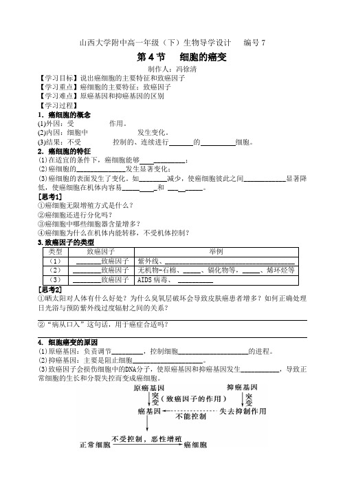 细胞癌变学案