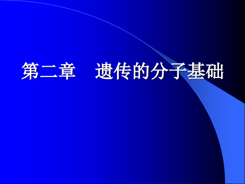 2 遗传的分子基础上