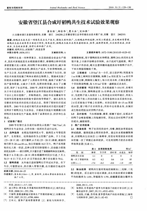 安徽省望江县合成圩稻鸭共生技术试验效果观察