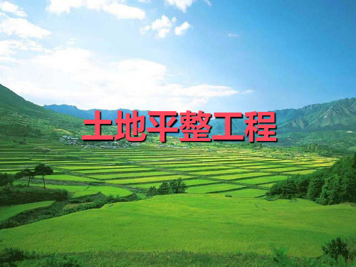 土地开发整理规划设计——土地平整工程.ppt