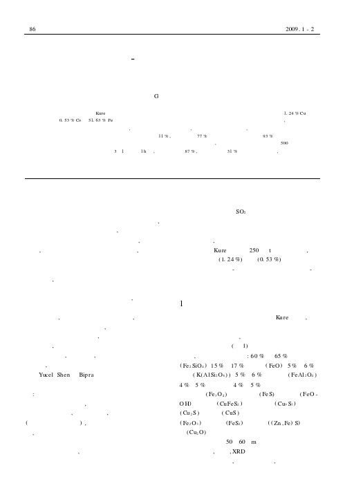 应用浮选-黄铁矿焙烧法从铜渣中回收有价金属