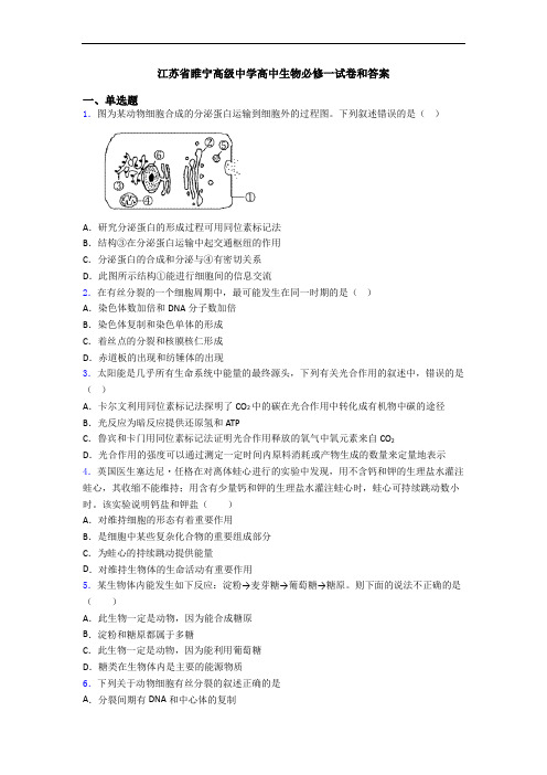 江苏省睢宁高级中学高中生物必修一试卷和答案