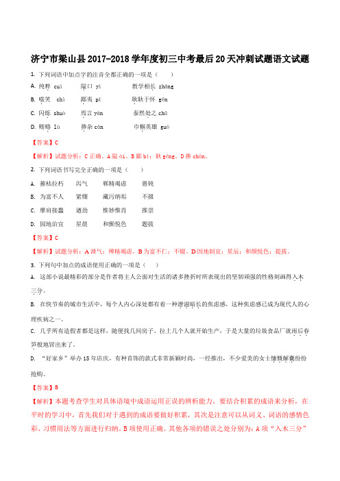 【全国校级联考】东省济宁市梁山县2018届九年级最后20天语文试题(解析版)