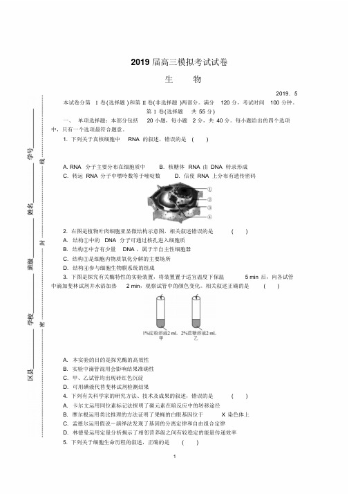 江苏省七市(南通、泰州、扬州、徐州、淮安、宿迁、连云港)2019届高三模拟考试生物试卷