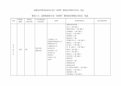 安徽省高等职业院校各专业类“双师型”教师岗位资格证书对应一览表汇编