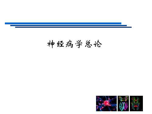 医学课件：神经病学总论