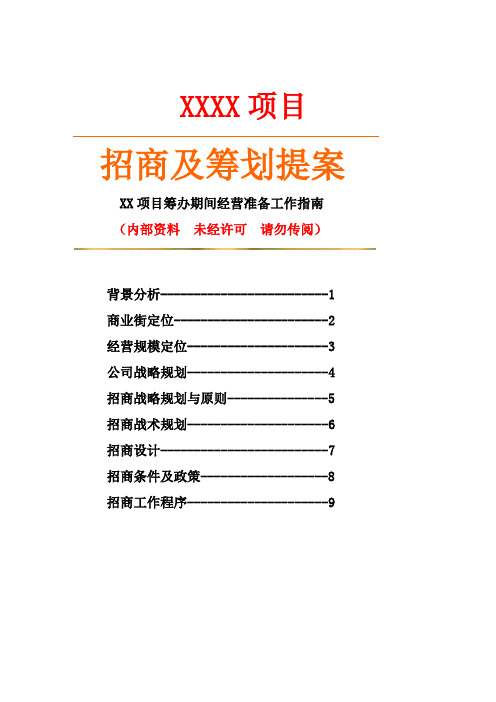 商业街招商策略方案《新》111