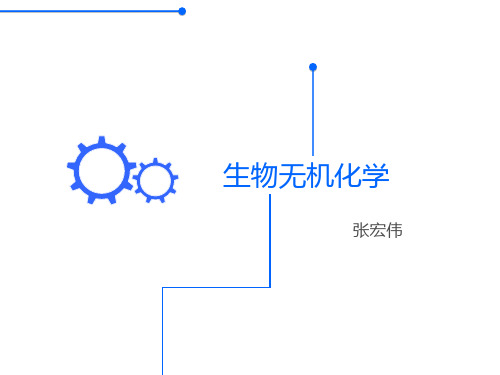 生物无机化学