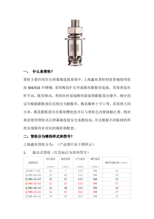 什么是背栓-专业版(最新整理)