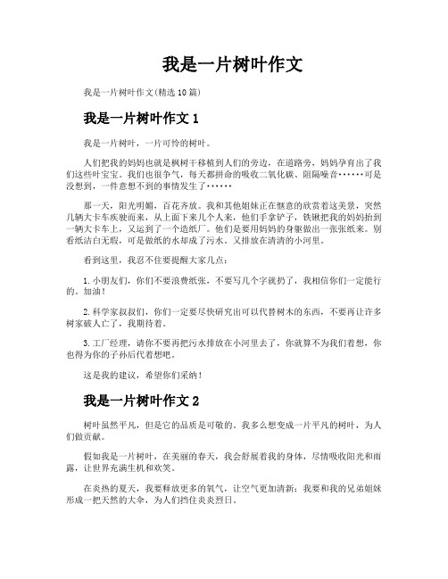 我是一片树叶作文