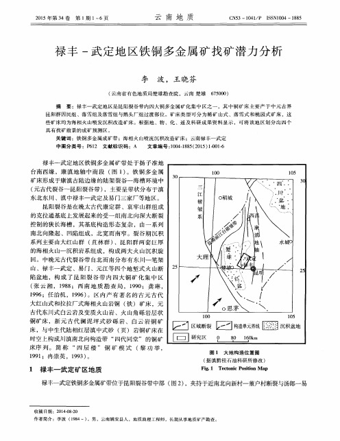 禄丰-武定地区铁铜多金属矿找矿潜力分析