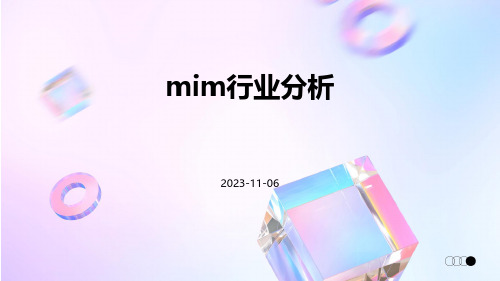 MIM行业分析