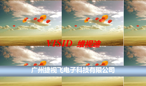 维视迪,VISID