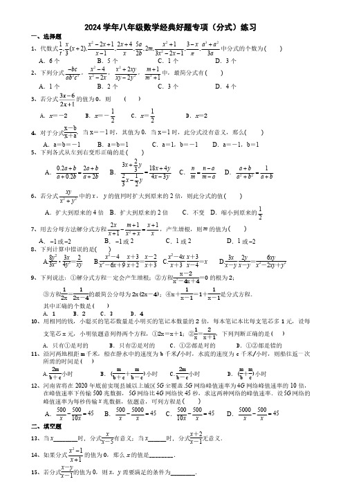 2024学年八年级数学经典好题专项(分式)练习(附答案)