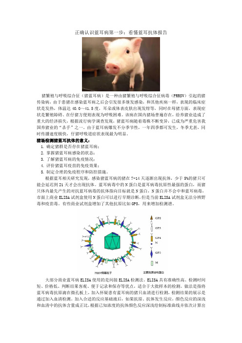 正确认识蓝耳病第一步：看懂蓝耳抗体报告