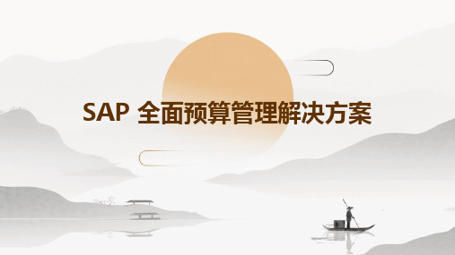 SAP 全面预算管理解决方案B