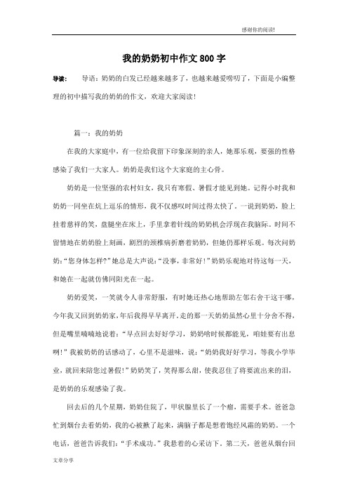 我的奶奶初中作文800字