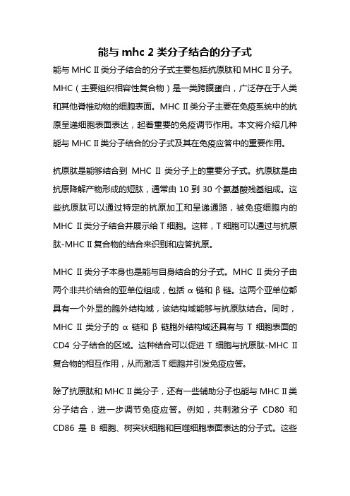 能与mhc 2类分子结合的分子式