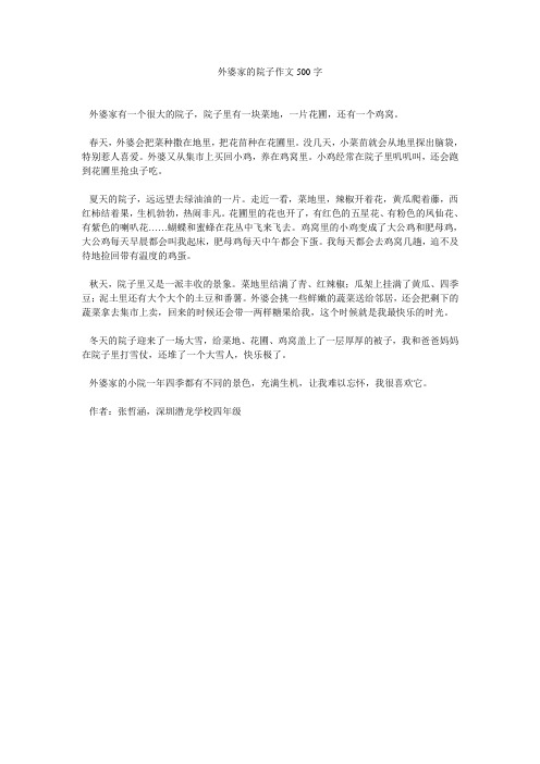外婆家的院子作文500字