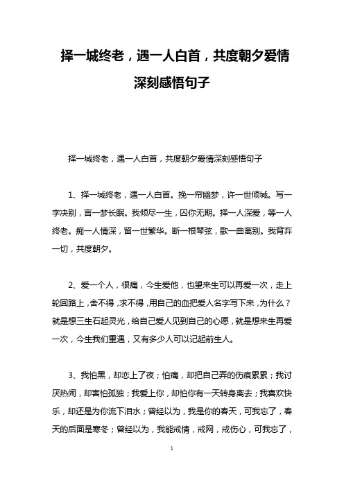 择一城终老,遇一人白首,共度朝夕爱情深刻感悟句子