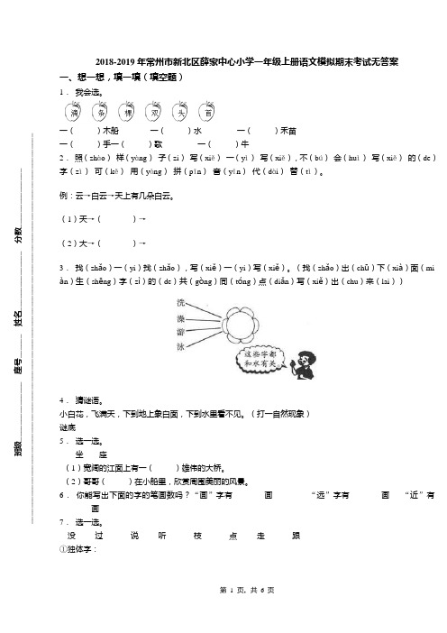 2018-2019年常州市新北区薛家中心小学一年级上册语文模拟期末考试无答案