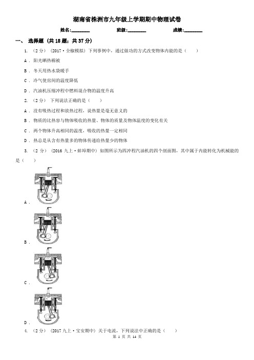 湖南省株洲市九年级上学期期中物理试卷