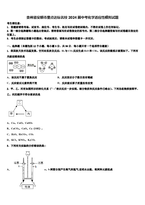 贵州省安顺市重点达标名校2024届中考化学适应性模拟试题含解析