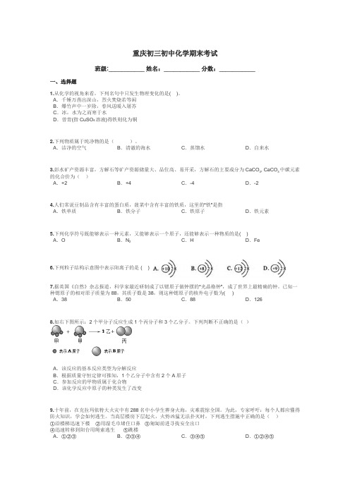 重庆初三初中化学期末考试带答案解析