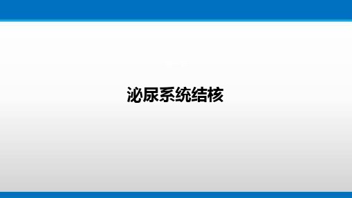 泌尿系统结核的诊断检查与治疗