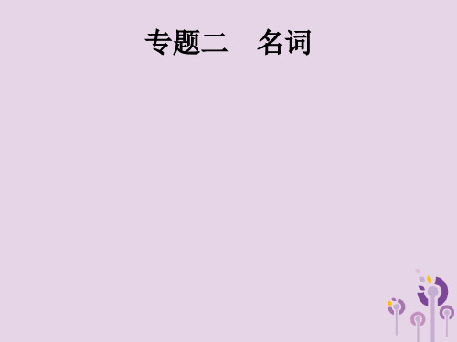 2019年中考英语总复习优化设计第二部分语法专项突破专题二名词课件考点一