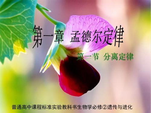 第一章第一节分离定律(共31张PPT)