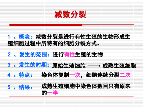 减数分裂过程中染色体数目变化